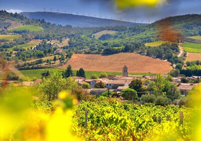 J.Laurens - Crémant De Limoux