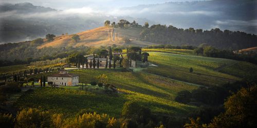 Tenuta Decugnano Dei Barbi - Orvieto Umbrië