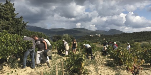 Domaine Gramenon - Côtes du Rhône (bio)